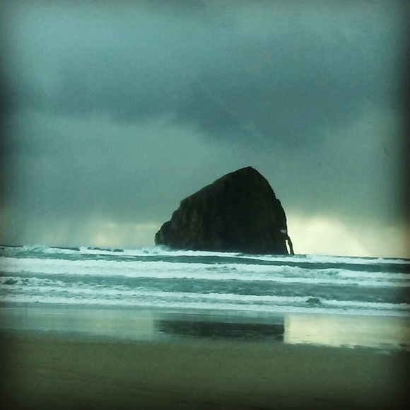 Meet your Posher, Errica - Picture 2 of 2